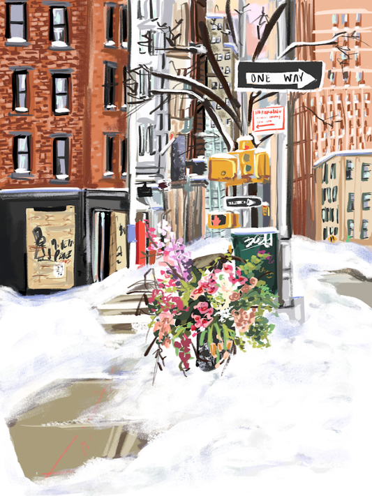 nysha lilly impractical magic puzzle