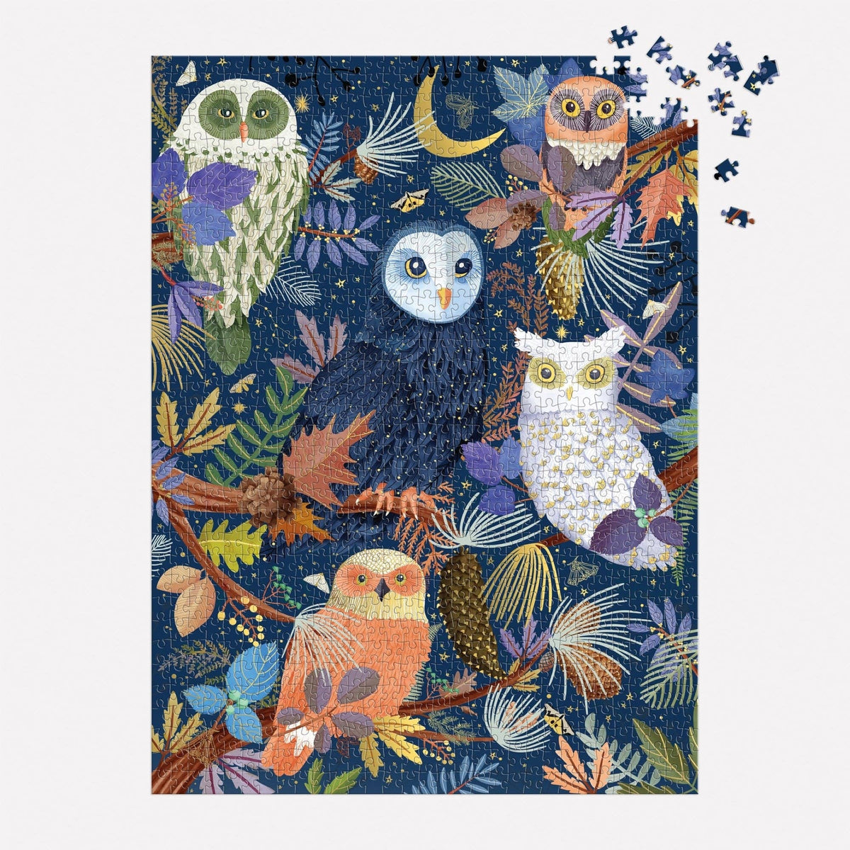 Owls at Dawn
