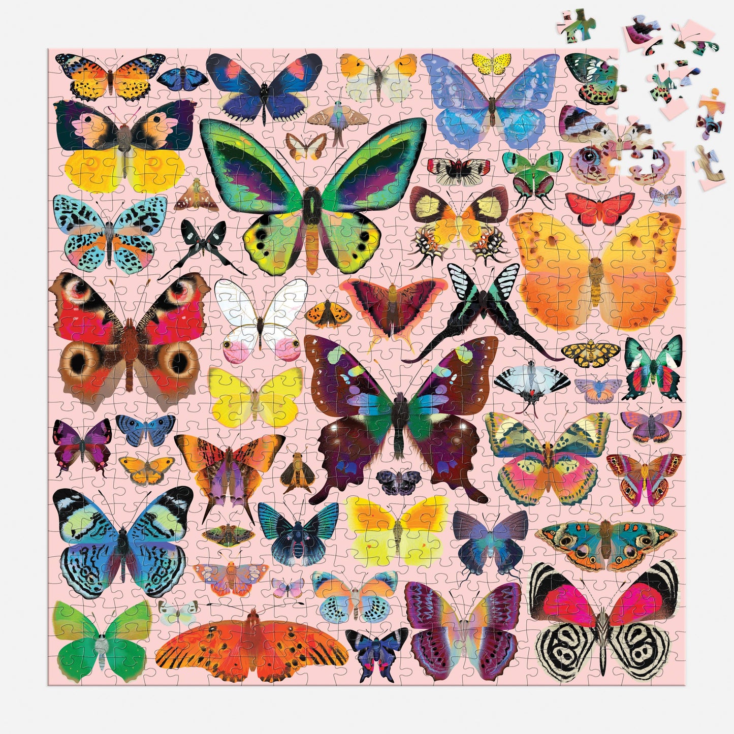 Brilliant Butterflies
