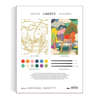 Liberty Prospect Road Paint by Number Kit