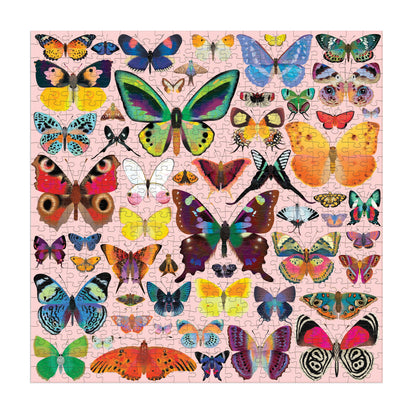Brilliant Butterflies