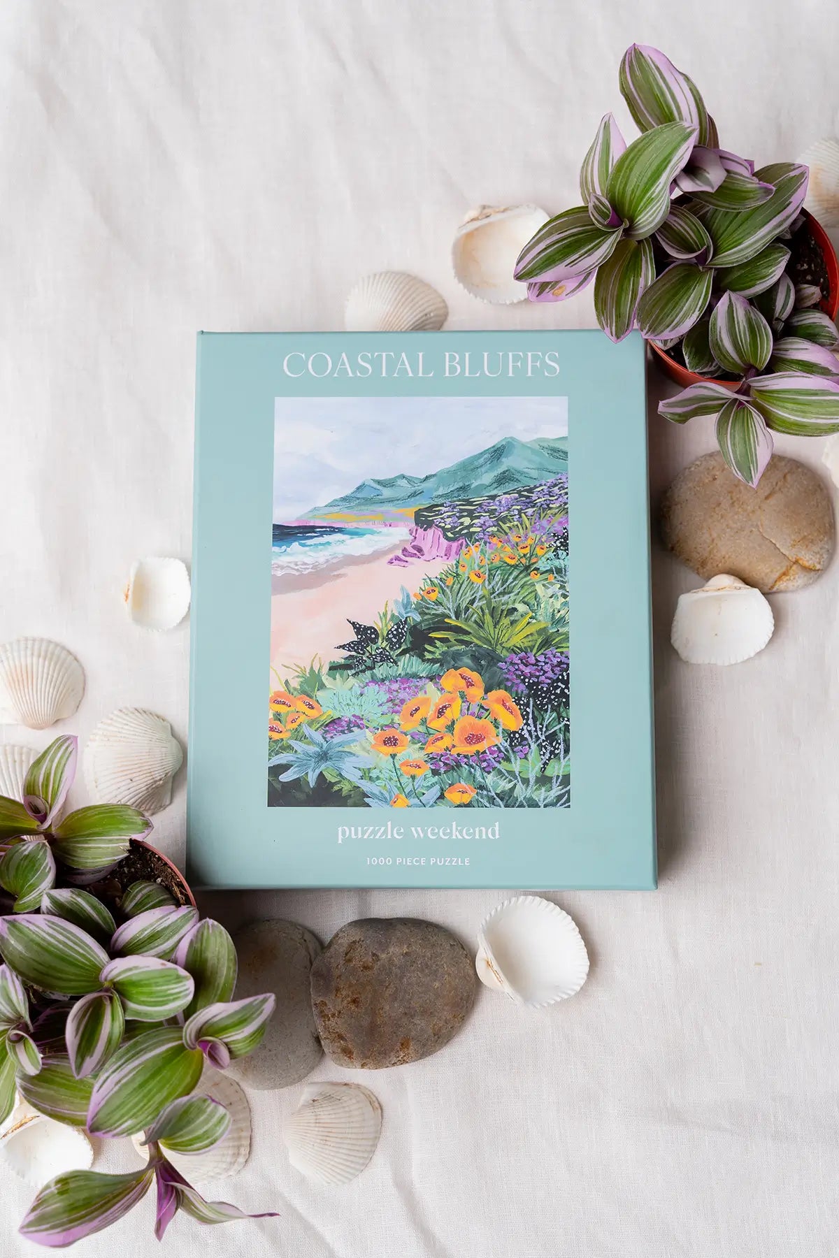 costal bluffs puzzle by sarah gesek