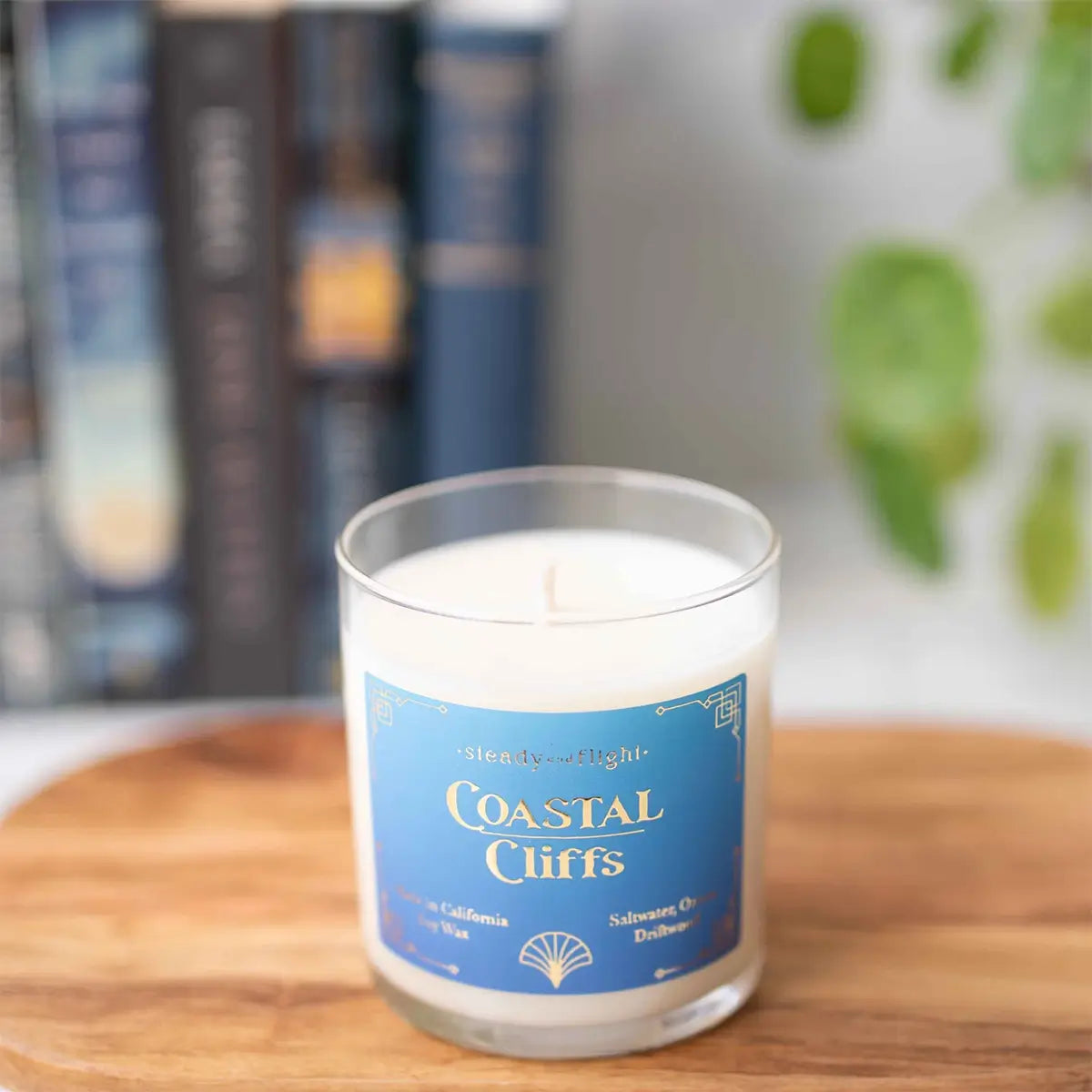 coastal cliffs ocean candle from steady + flight