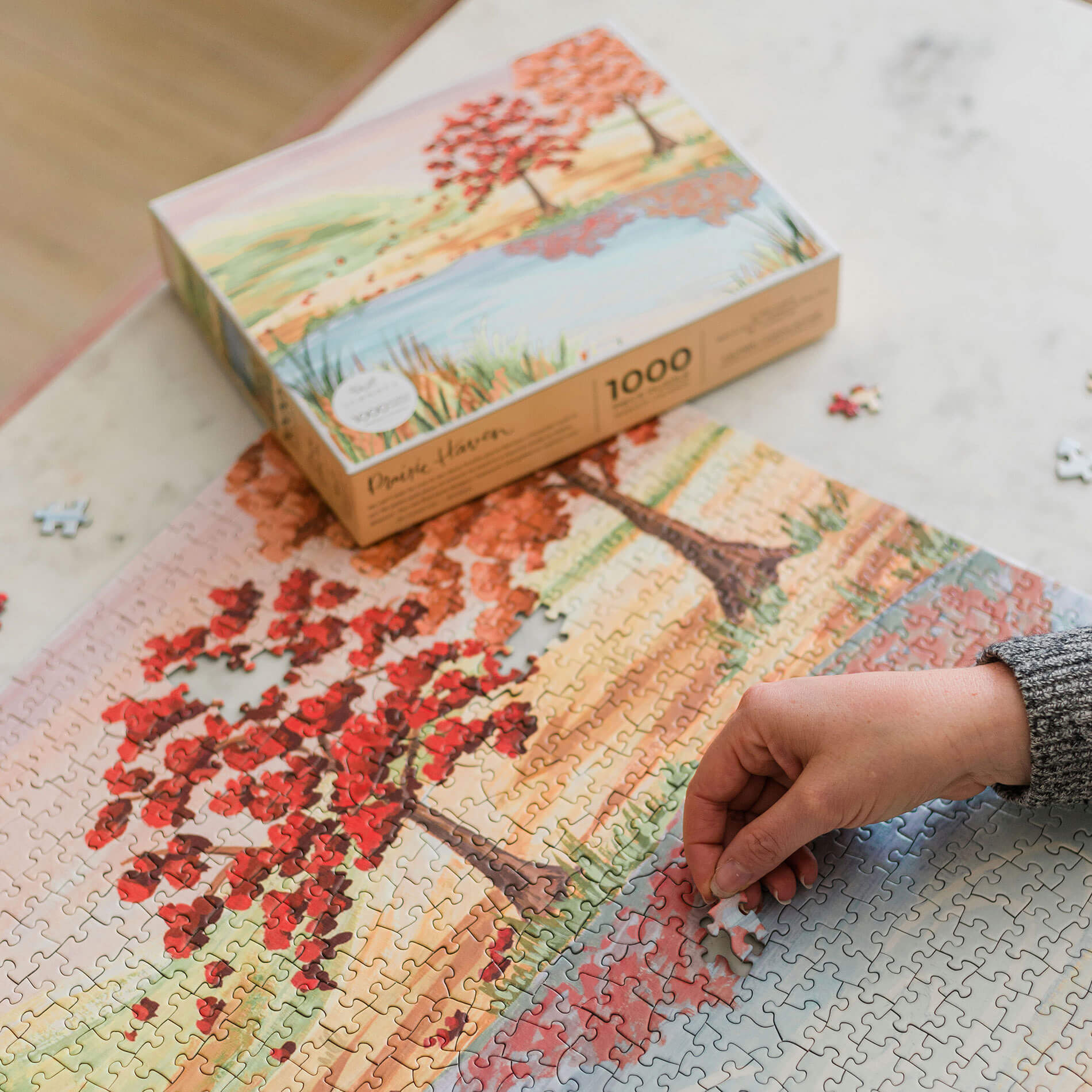 1canoe2 puzzle - prairie haven