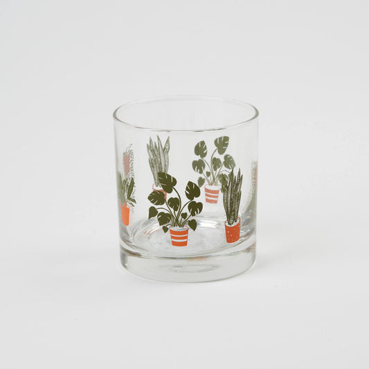 houseplants rocks glass