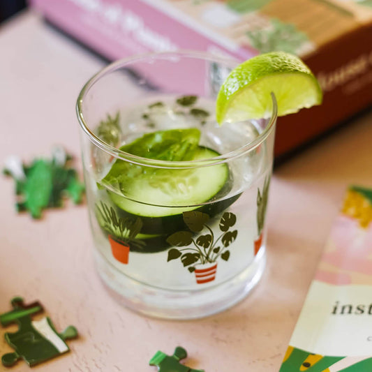 houseplants rocks glass