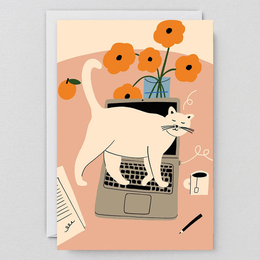 stop working cat on laptop card by wrap